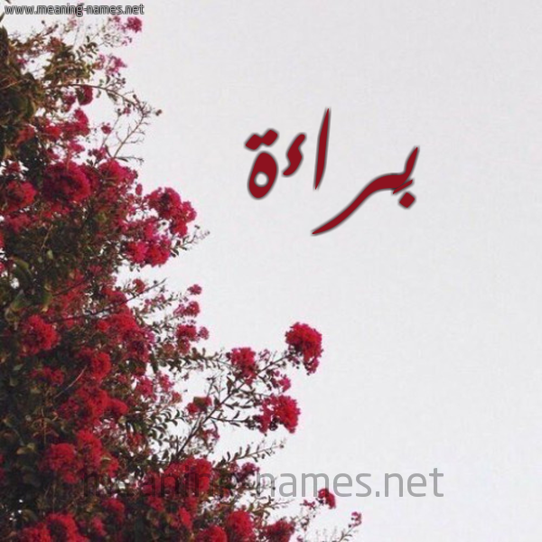 شكل 18 صوره الورد الأحمر للإسم بخط رقعة صورة اسم بَراءة BARAAH