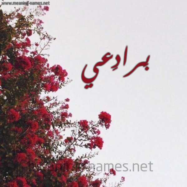 شكل 18 صوره الورد الأحمر للإسم بخط رقعة صورة اسم بَرادِعي BARADEAI