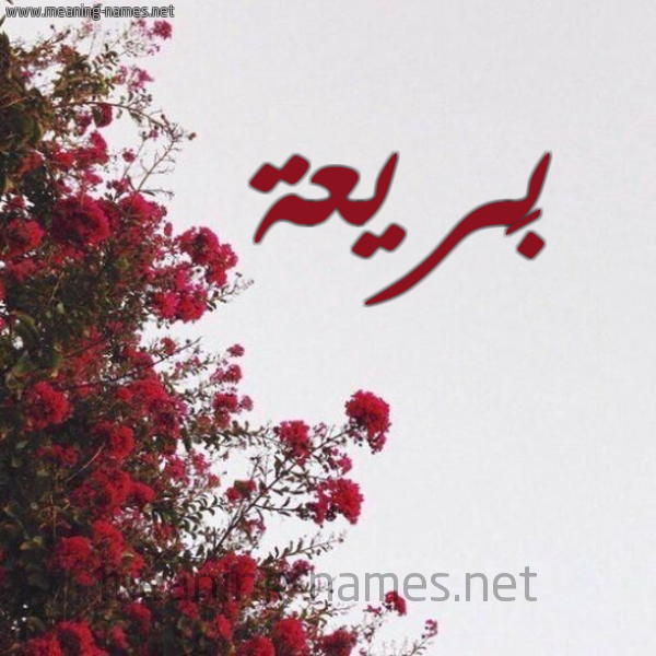 شكل 18 صوره الورد الأحمر للإسم بخط رقعة صورة اسم بَريعة BARIAH