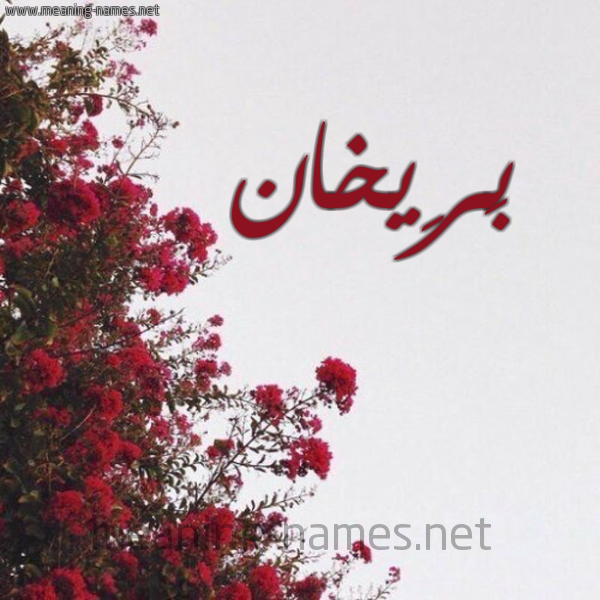 شكل 18 صوره الورد الأحمر للإسم بخط رقعة صورة اسم بَرِيخان BAREIKHAN