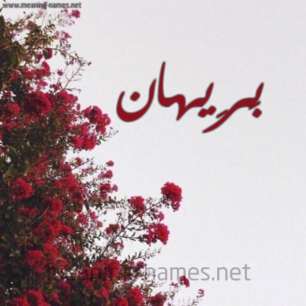 شكل 18 صوره الورد الأحمر للإسم بخط رقعة صورة اسم بَرِيهان BAREIHAN