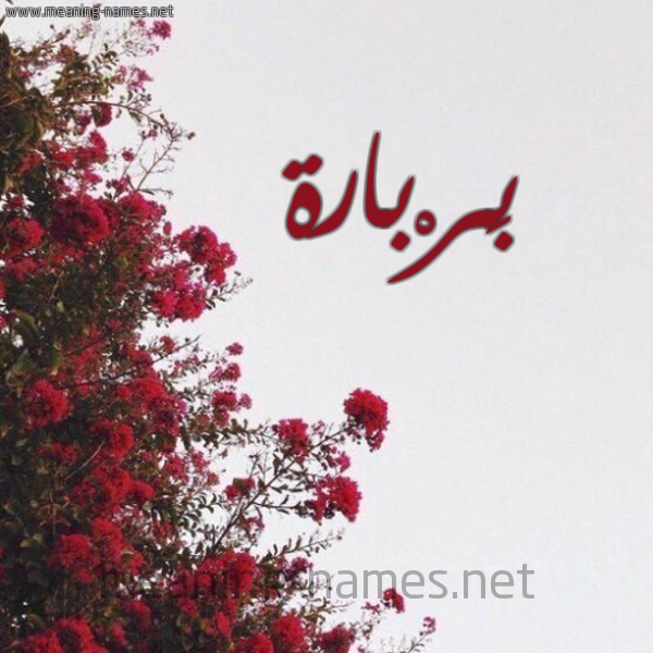 شكل 18 صوره الورد الأحمر للإسم بخط رقعة صورة اسم بَرْبارة BARBARH