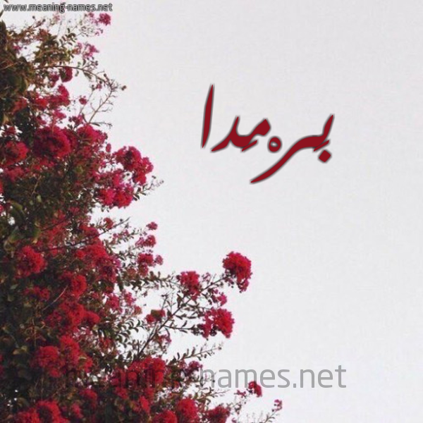شكل 18 صوره الورد الأحمر للإسم بخط رقعة صورة اسم بَرْمَدا BARMADA