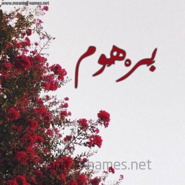 شكل 18 صوره الورد الأحمر للإسم بخط رقعة صورة اسم بَرْهُوم BARHOOM