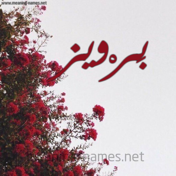 شكل 18 صوره الورد الأحمر للإسم بخط رقعة صورة اسم بَرْويز BAROIZ