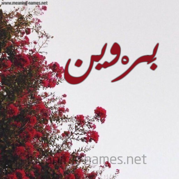 شكل 18 صوره الورد الأحمر للإسم بخط رقعة صورة اسم بَرْوين BAROIN
