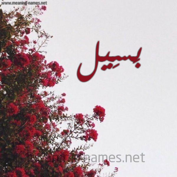 شكل 18 صوره الورد الأحمر للإسم بخط رقعة صورة اسم بَسِيل BASEIL