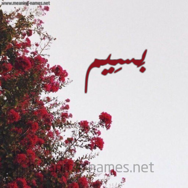 شكل 18 صوره الورد الأحمر للإسم بخط رقعة صورة اسم بَسِيم BASEIM