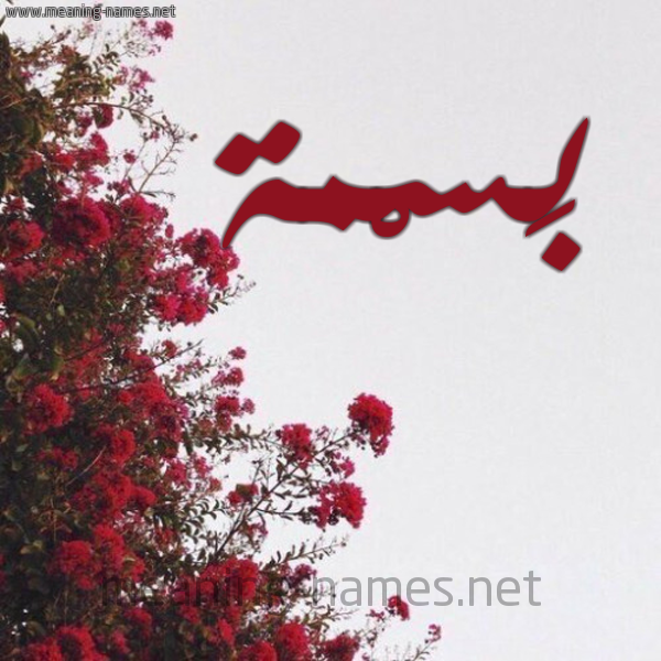 شكل 18 صوره الورد الأحمر للإسم بخط رقعة صورة اسم بَسْمة BASMH