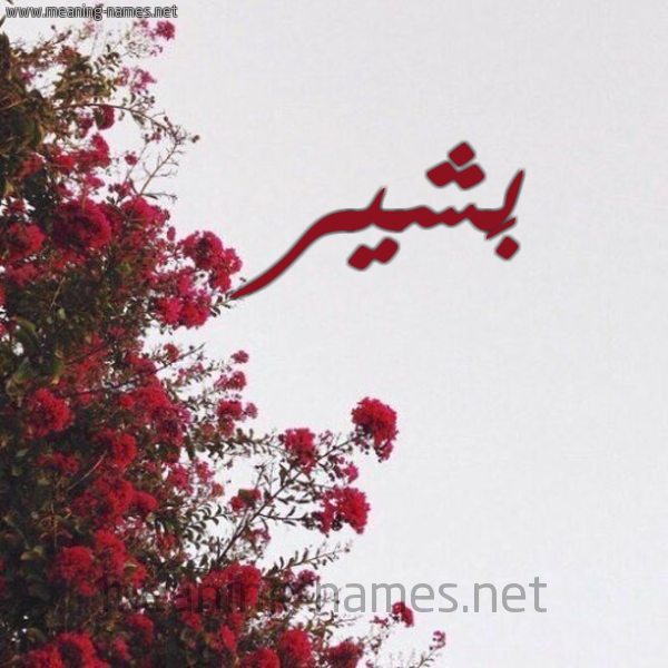 شكل 18 صوره الورد الأحمر للإسم بخط رقعة صورة اسم بَشير BASHIR