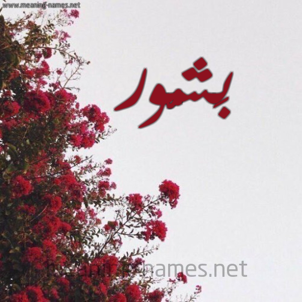 شكل 18 صوره الورد الأحمر للإسم بخط رقعة صورة اسم بَشُّور BASHOOR