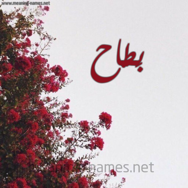 شكل 18 صوره الورد الأحمر للإسم بخط رقعة صورة اسم بَطّاح BATAH