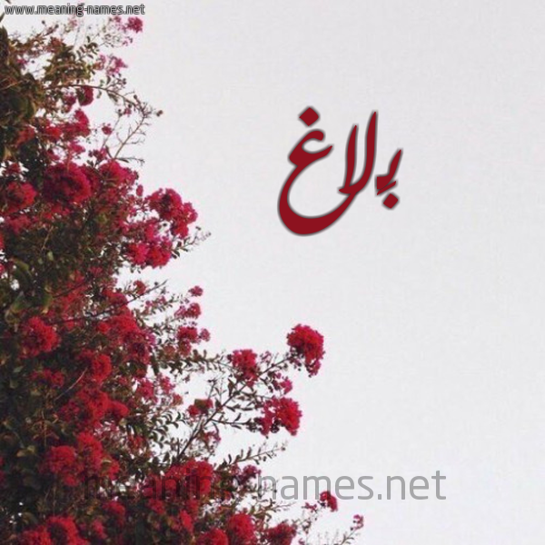 شكل 18 صوره الورد الأحمر للإسم بخط رقعة صورة اسم بَلاغ BALAGH