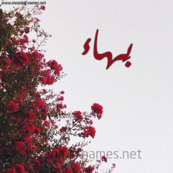 شكل 18 صوره الورد الأحمر للإسم بخط رقعة صورة اسم بَهاء Bahaa