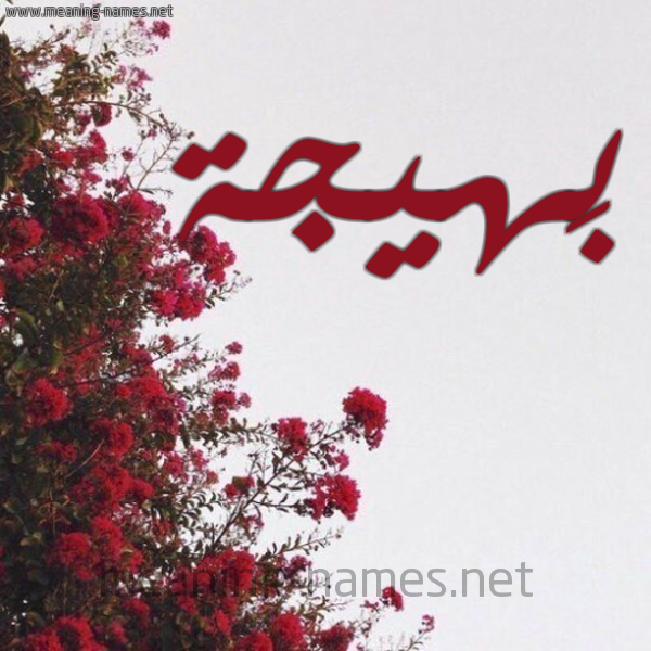شكل 18 صوره الورد الأحمر للإسم بخط رقعة صورة اسم بَهيجة BAHIGH