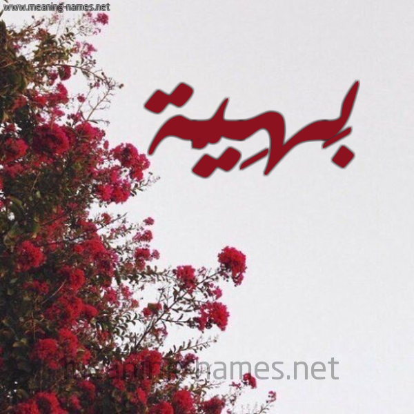 شكل 18 صوره الورد الأحمر للإسم بخط رقعة صورة اسم بَهِيَّة BAHEIAH