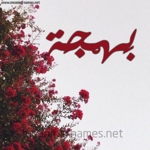 شكل 18 صوره الورد الأحمر للإسم بخط رقعة صورة اسم بَهْجَة BAHGAH