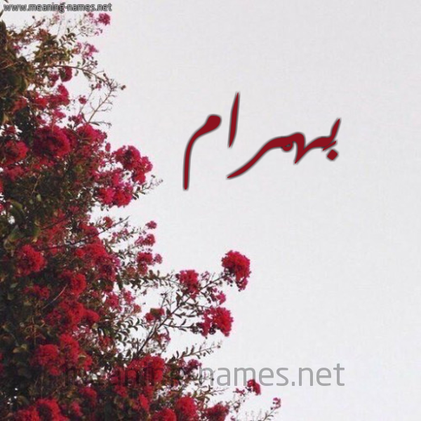 شكل 18 صوره الورد الأحمر للإسم بخط رقعة صورة اسم بَهْرام BAHRAM