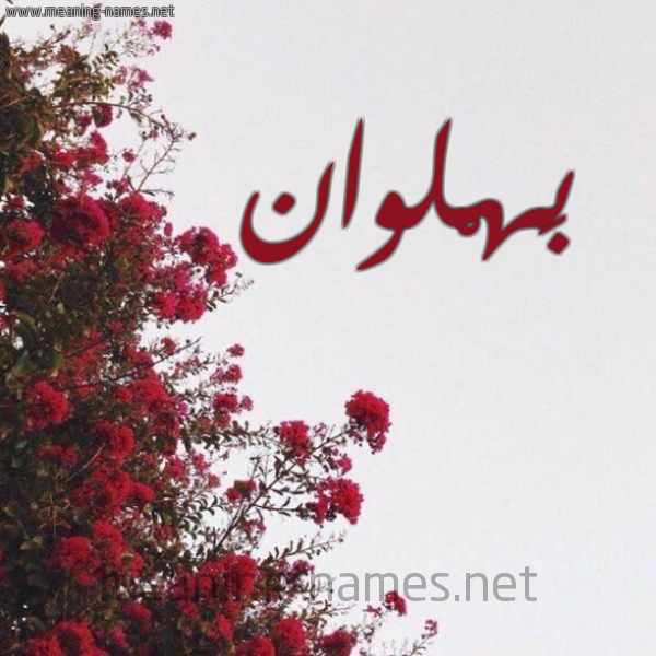 شكل 18 صوره الورد الأحمر للإسم بخط رقعة صورة اسم بَهْلوان BAHLOAN