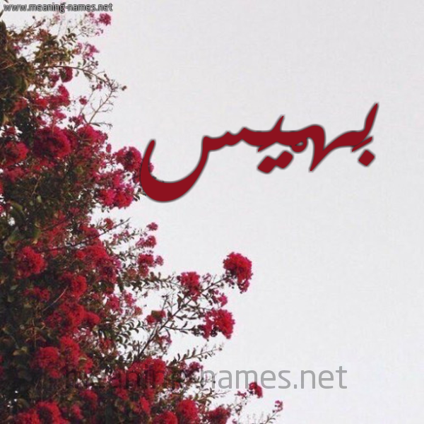 شكل 18 صوره الورد الأحمر للإسم بخط رقعة صورة اسم بَهْيَس Bahis