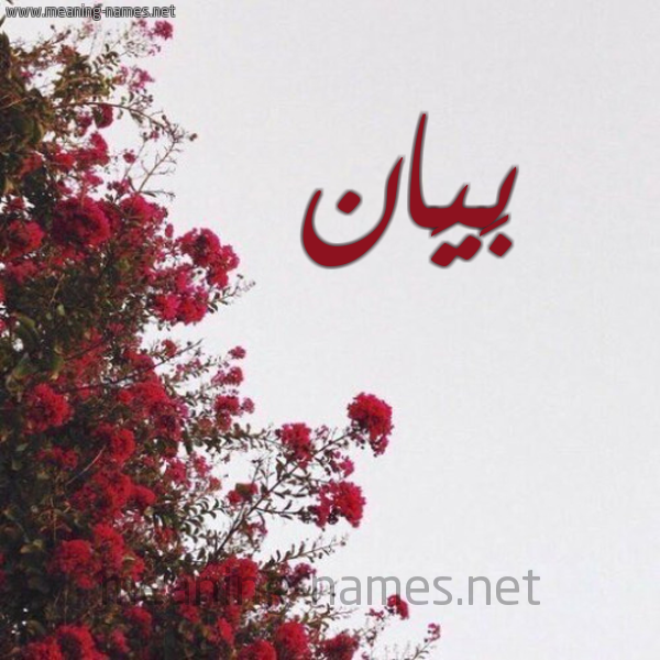 شكل 18 صوره الورد الأحمر للإسم بخط رقعة صورة اسم بَيَان BAIAAN