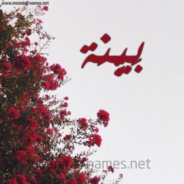 صورة اسم بَيِّنَة BAIENAH شكل 18 صوره الورد الأحمر للإسم بخط رقعة صورة اسم بَيِّنَة BAIENAH شكل 18 صوره الورد الأحمر للإسم بخط رقعة