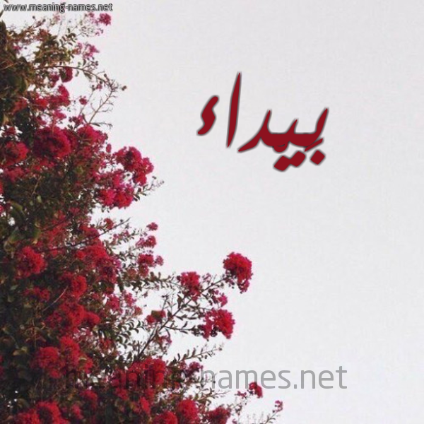 شكل 18 صوره الورد الأحمر للإسم بخط رقعة صورة اسم بَيْداء BAIDAA