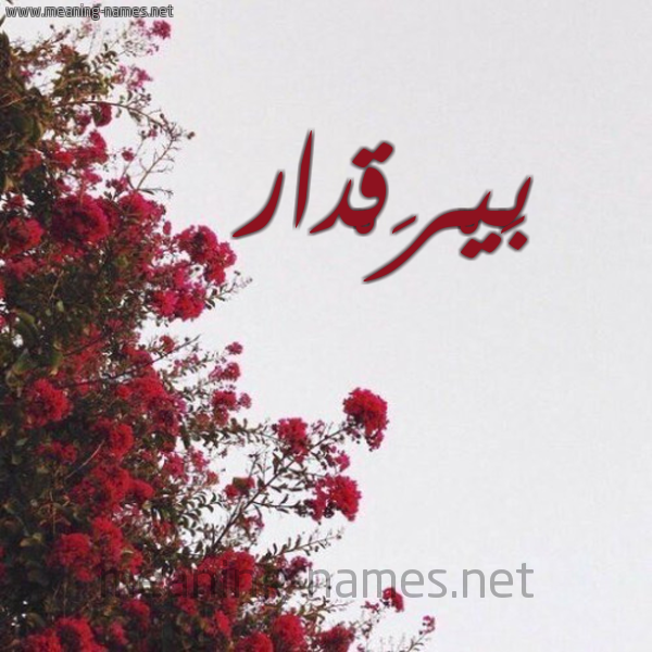 شكل 18 صوره الورد الأحمر للإسم بخط رقعة صورة اسم بَيْرَقْدار BAIRAQDAR