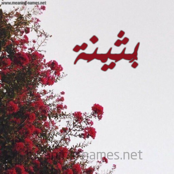 شكل 18 صوره الورد الأحمر للإسم بخط رقعة صورة اسم بُثَيْنَة BOTHAINAH