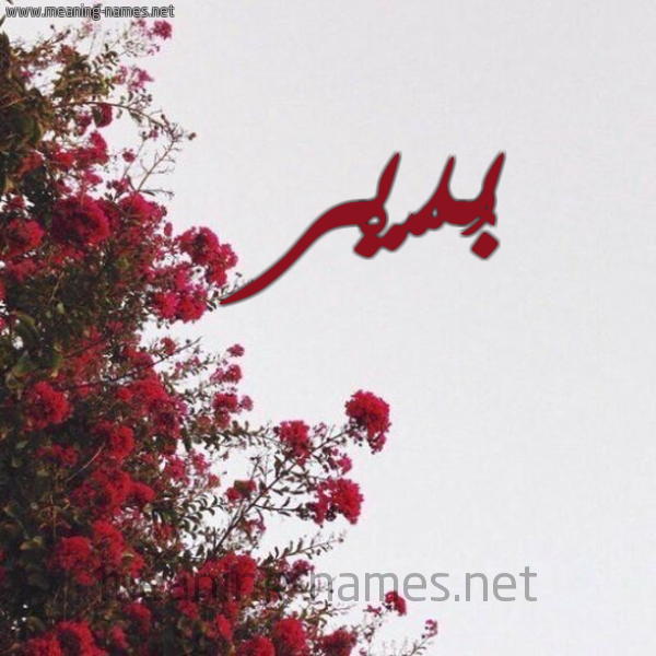 شكل 18 صوره الورد الأحمر للإسم بخط رقعة صورة اسم بُدّيْر BODIR