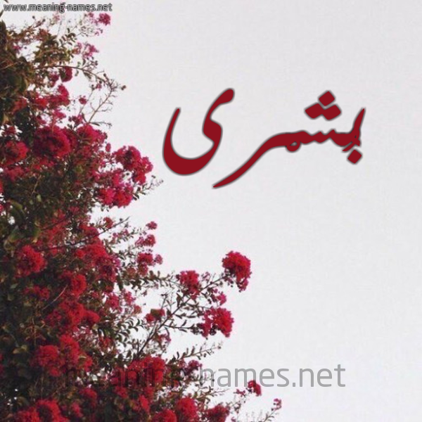 شكل 18 صوره الورد الأحمر للإسم بخط رقعة صورة اسم بُشْرى BOSHRA