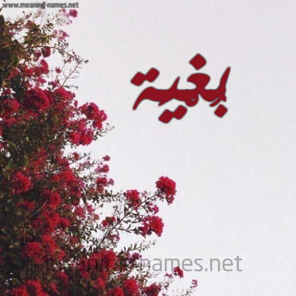 شكل 18 صوره الورد الأحمر للإسم بخط رقعة صورة اسم بُغْيَة BOGHIAH
