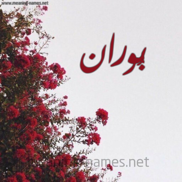 شكل 18 صوره الورد الأحمر للإسم بخط رقعة صورة اسم بُوران BOORAN