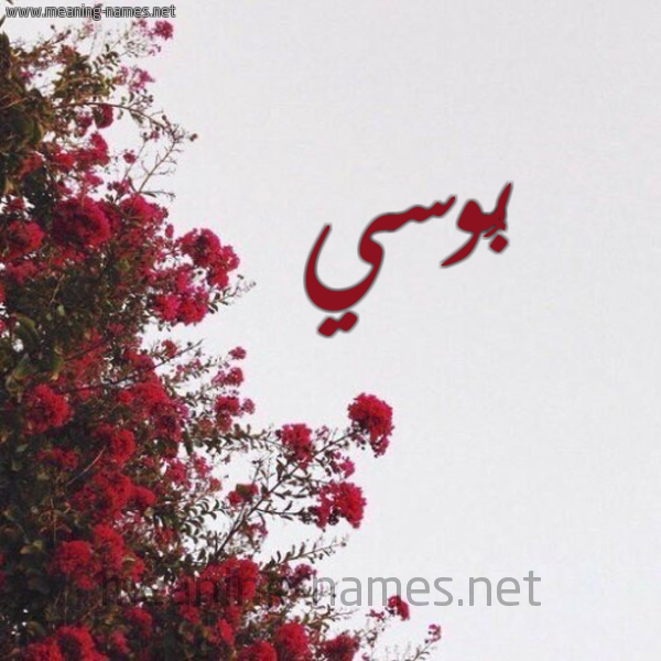 شكل 18 صوره الورد الأحمر للإسم بخط رقعة صورة اسم بُوسي BOOSI