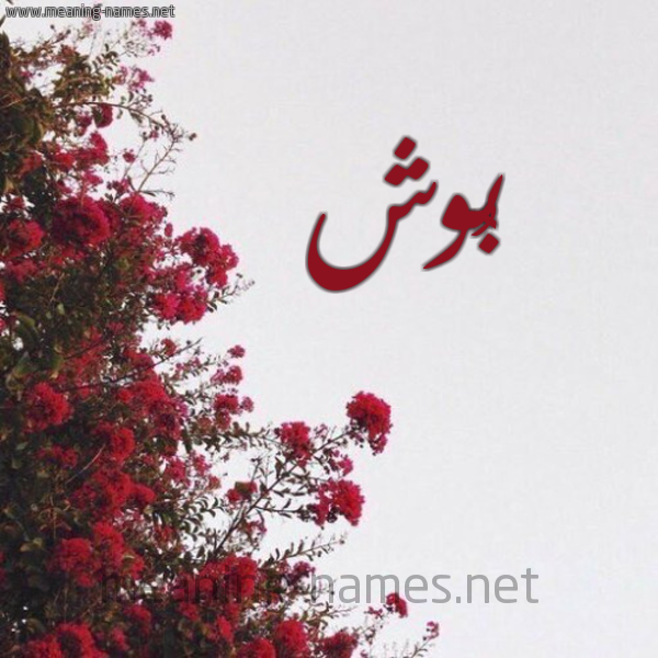 شكل 18 صوره الورد الأحمر للإسم بخط رقعة صورة اسم بُوش BOOSH