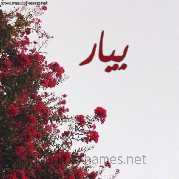 شكل 18 صوره الورد الأحمر للإسم بخط رقعة صورة اسم بِيار BEIAR