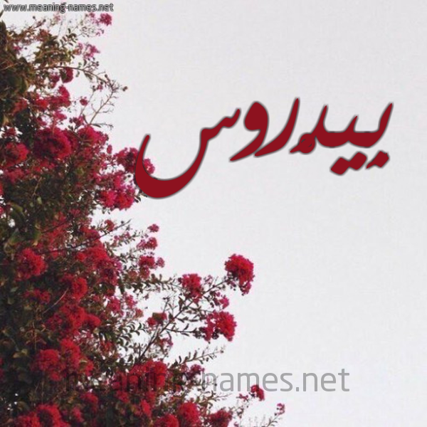 شكل 18 صوره الورد الأحمر للإسم بخط رقعة صورة اسم بِيدْروس BEIDROS
