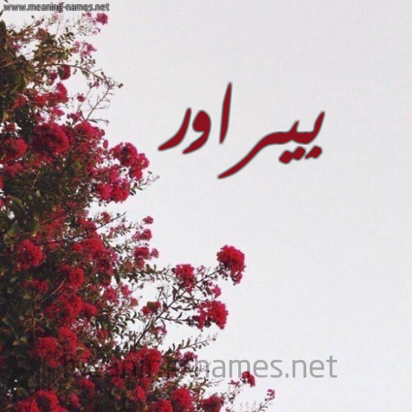 شكل 18 صوره الورد الأحمر للإسم بخط رقعة صورة اسم بِيراوَر BEIRAOAR