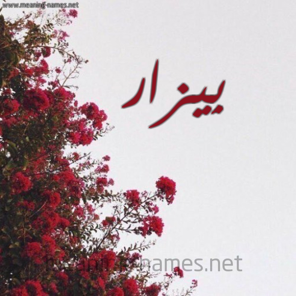شكل 18 صوره الورد الأحمر للإسم بخط رقعة صورة اسم بِيزار BEIZAR