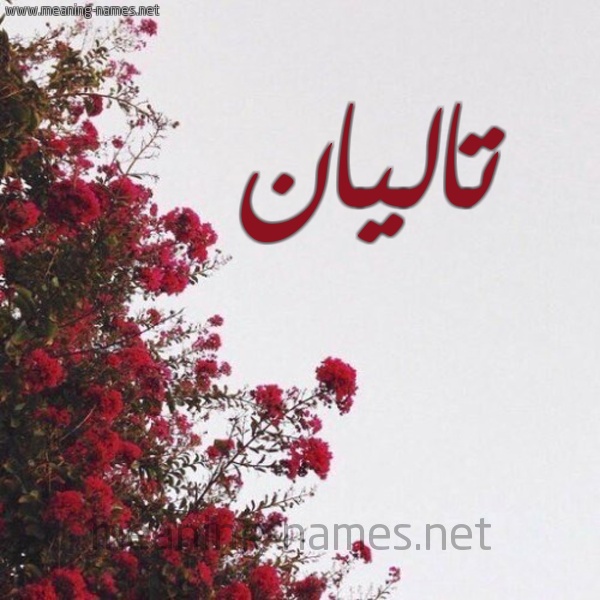 شكل 18 صوره الورد الأحمر للإسم بخط رقعة صورة اسم تاليان Talyan