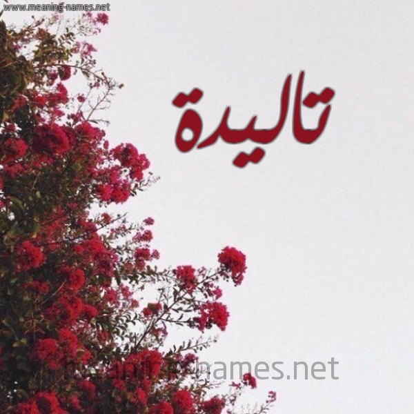 شكل 18 صوره الورد الأحمر للإسم بخط رقعة صورة اسم تاليدة Taleda