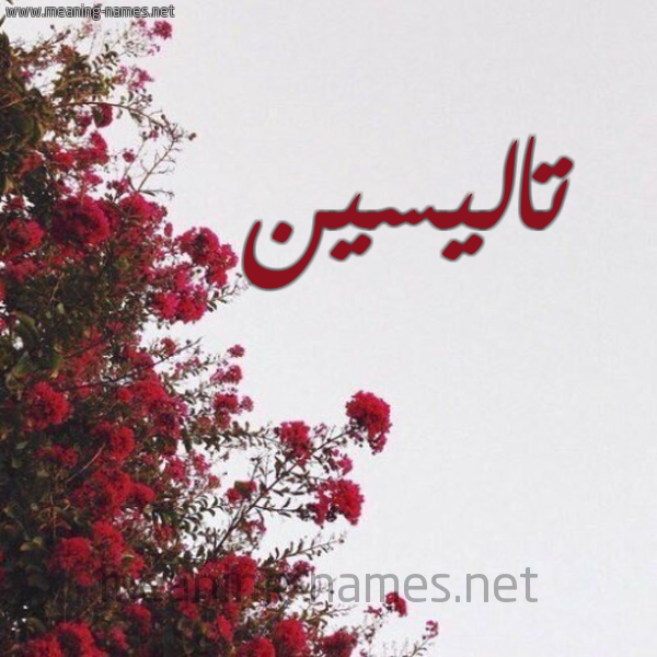 شكل 18 صوره الورد الأحمر للإسم بخط رقعة صورة اسم تاليسين talisin