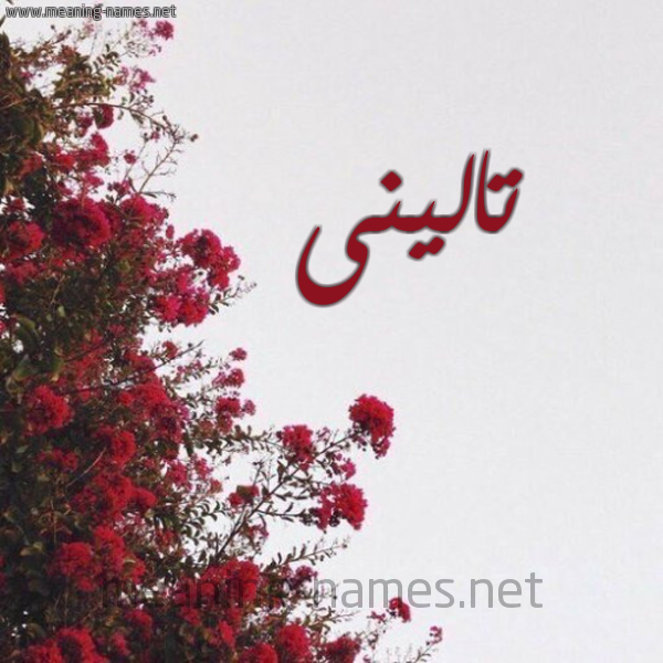 شكل 18 صوره الورد الأحمر للإسم بخط رقعة صورة اسم تالينى talini