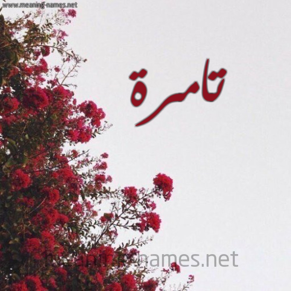 شكل 18 صوره الورد الأحمر للإسم بخط رقعة صورة اسم تامرة Tamrh