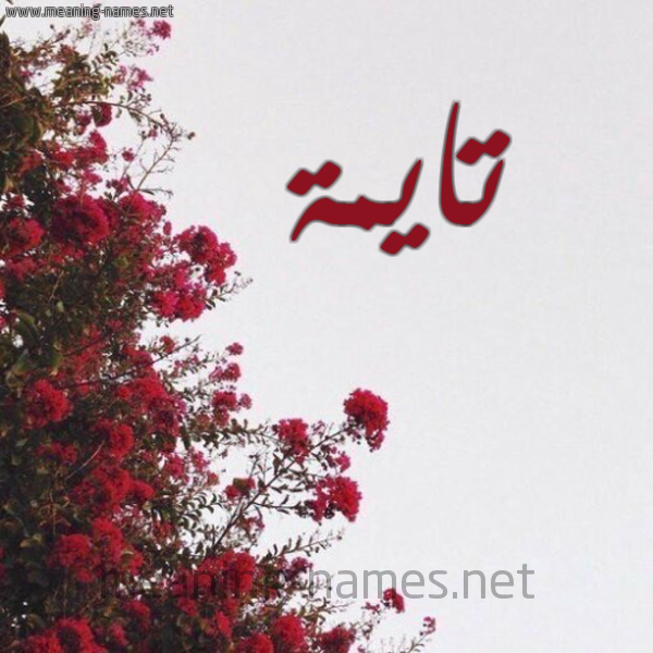 شكل 18 صوره الورد الأحمر للإسم بخط رقعة صورة اسم تايمة tayma