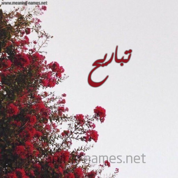 شكل 18 صوره الورد الأحمر للإسم بخط رقعة صورة اسم تباريح Tbaryh
