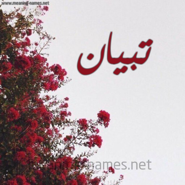شكل 18 صوره الورد الأحمر للإسم بخط رقعة صورة اسم تبيان Tibyan