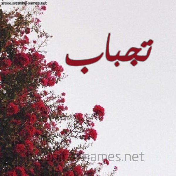شكل 18 صوره الورد الأحمر للإسم بخط رقعة صورة اسم تجباب Tjbab