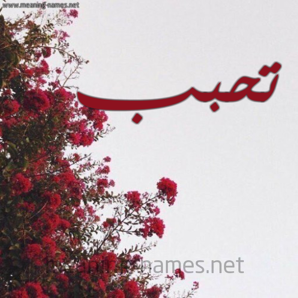 شكل 18 صوره الورد الأحمر للإسم بخط رقعة صورة اسم تحبب Thbb