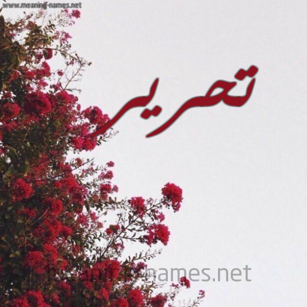 شكل 18 صوره الورد الأحمر للإسم بخط رقعة صورة اسم تحرير Thryr